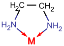 Ethylenediamine (en) is a bidentate ligand that forms a five-membered ring in coordinating to a metal ion M