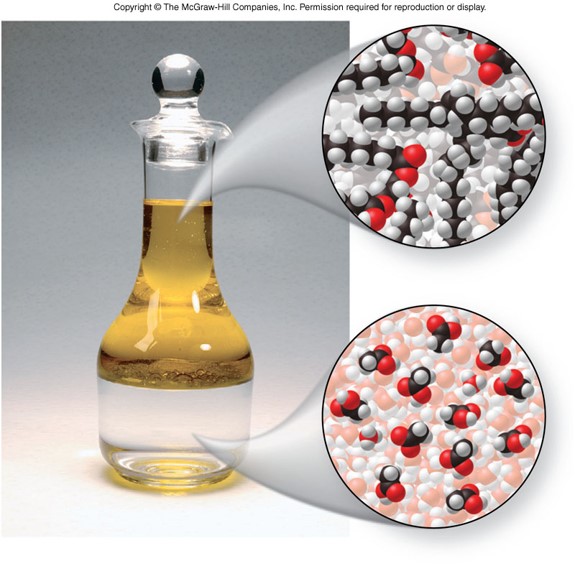 non cyclic amp molecule after dissolved in water