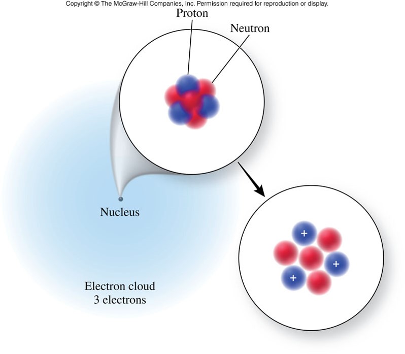 A graphical representation of the atom show the protons and neutrons in the nucleus at the center of the atom and the electron in the outer parts of the atoms.