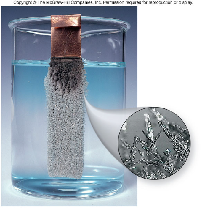 A picture of a strip of copper metal hanging into a solution of clear sliver nitrate. Silver metal is growing on the surface of the copper metal and the solution is turning blue from the formation of copper(II) ions.